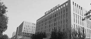 公司介绍